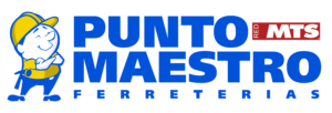 Punto Maestro